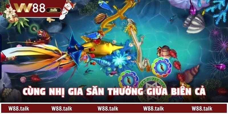 Cùng Nhị Gia săn thưởng giữa biển cả
