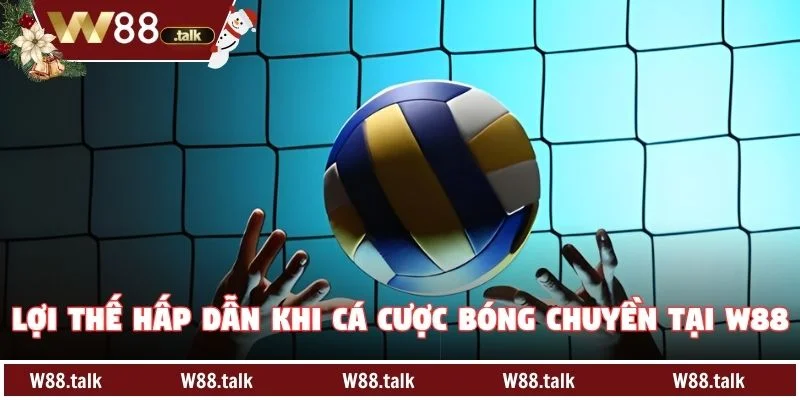 Lợi thế hấp dẫn khi Cá cược bóng chuyền tại W88